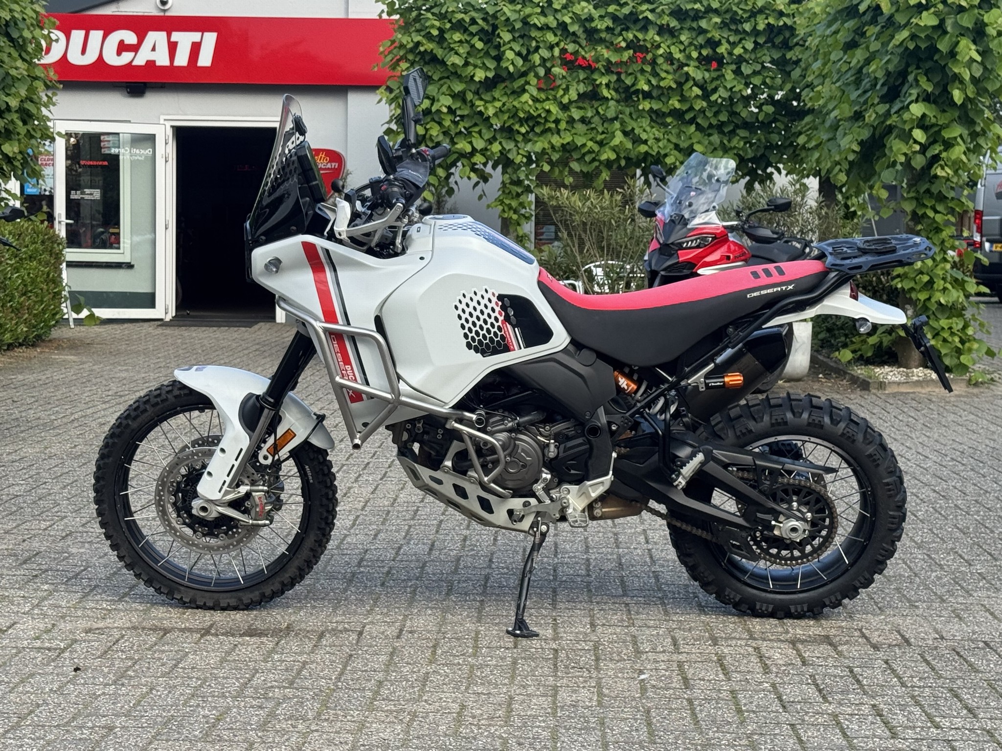 DUCATI Desert X White