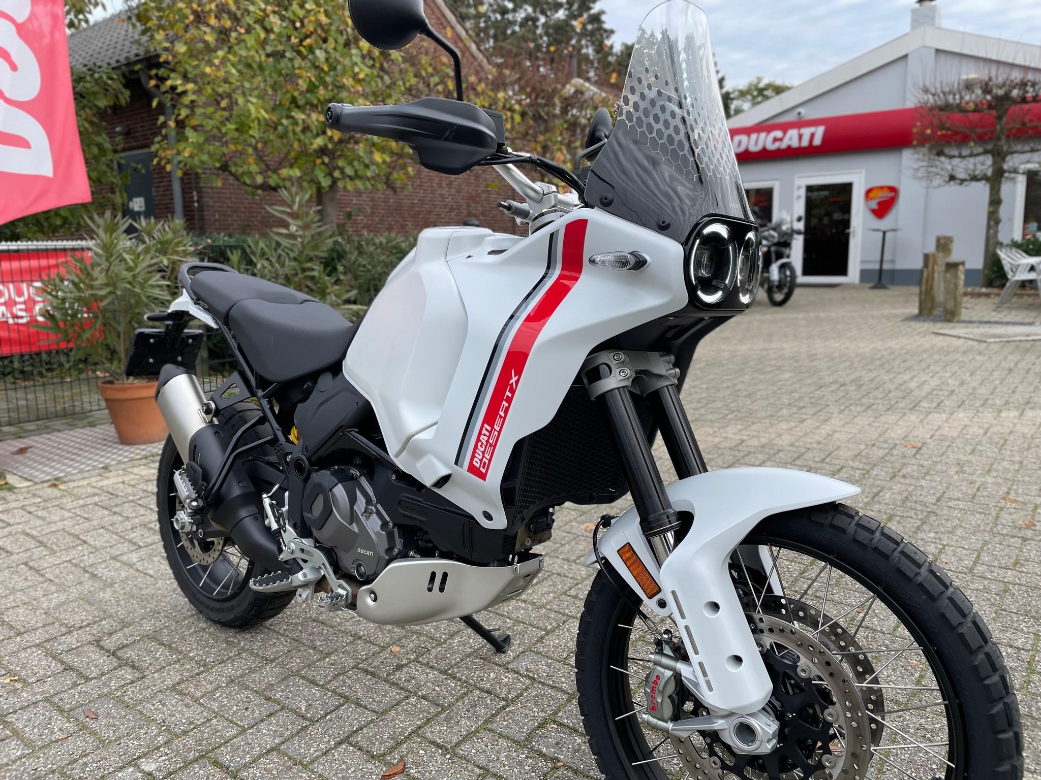 DUCATI Desert X White