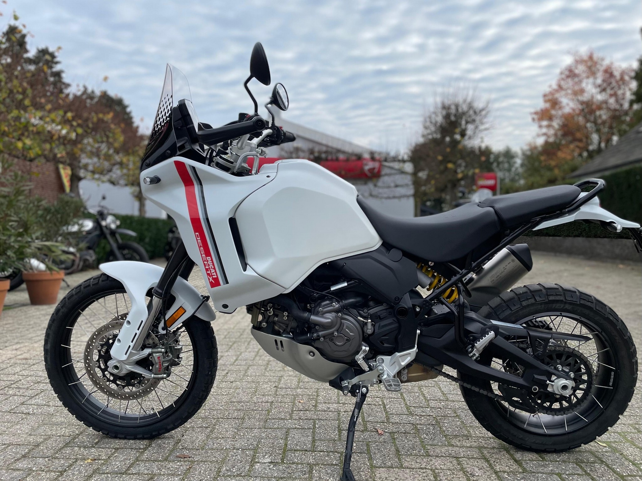 DUCATI Desert X White