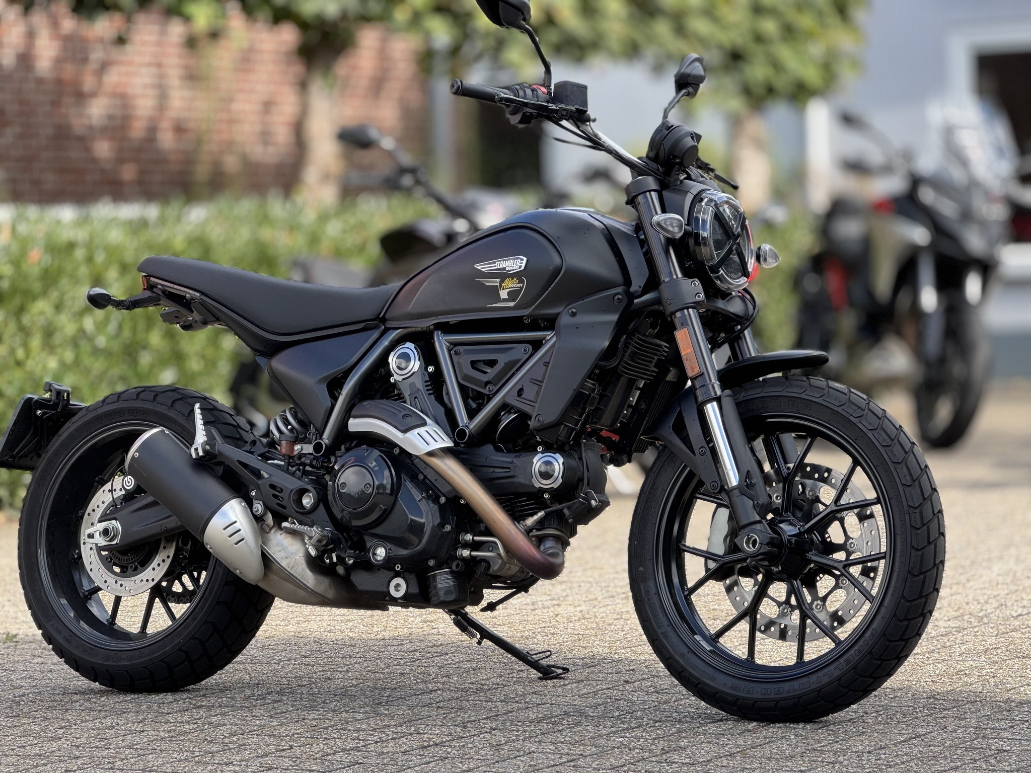 DUCATI Scrambler Icon