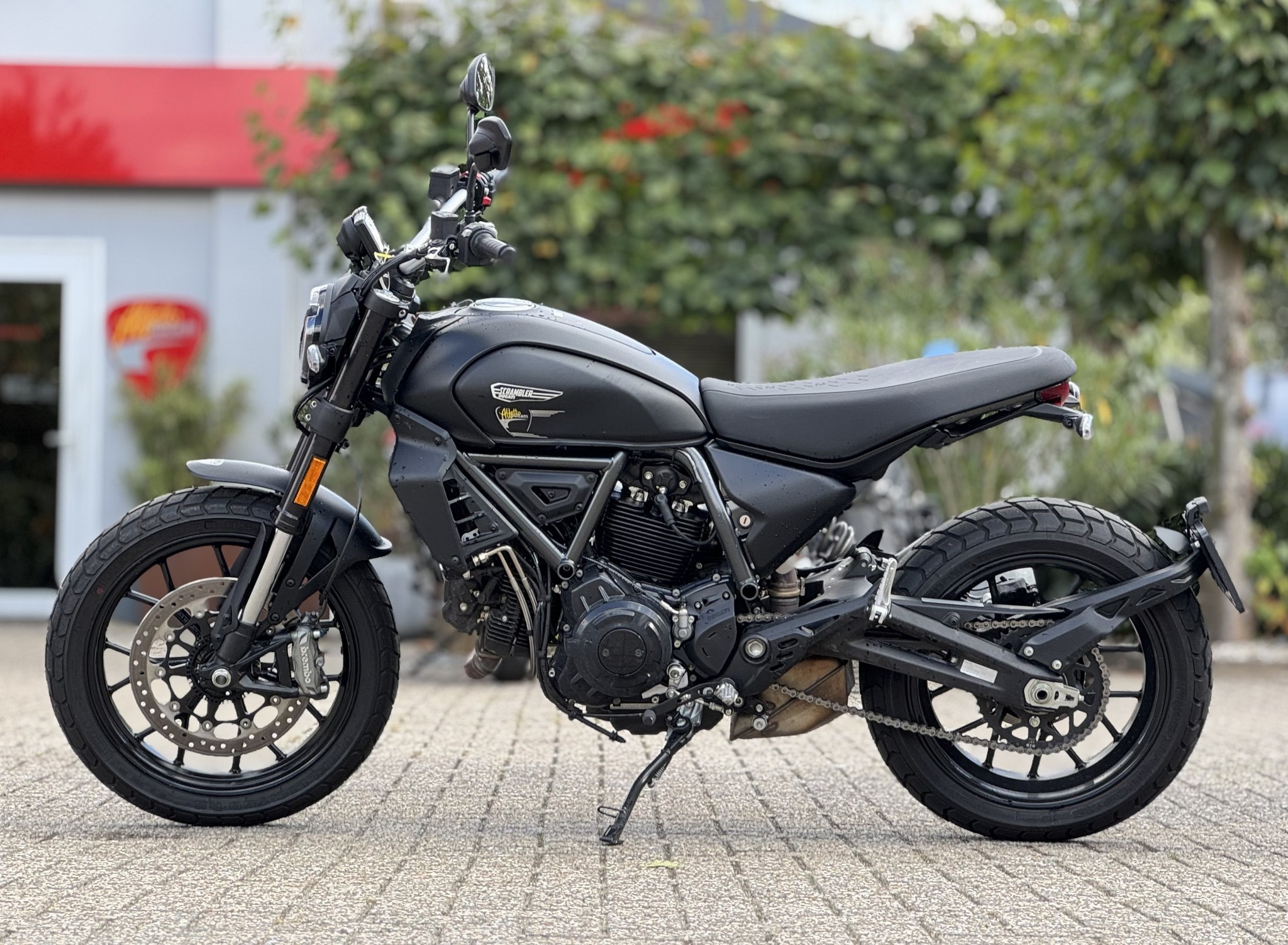 DUCATI Scrambler Icon