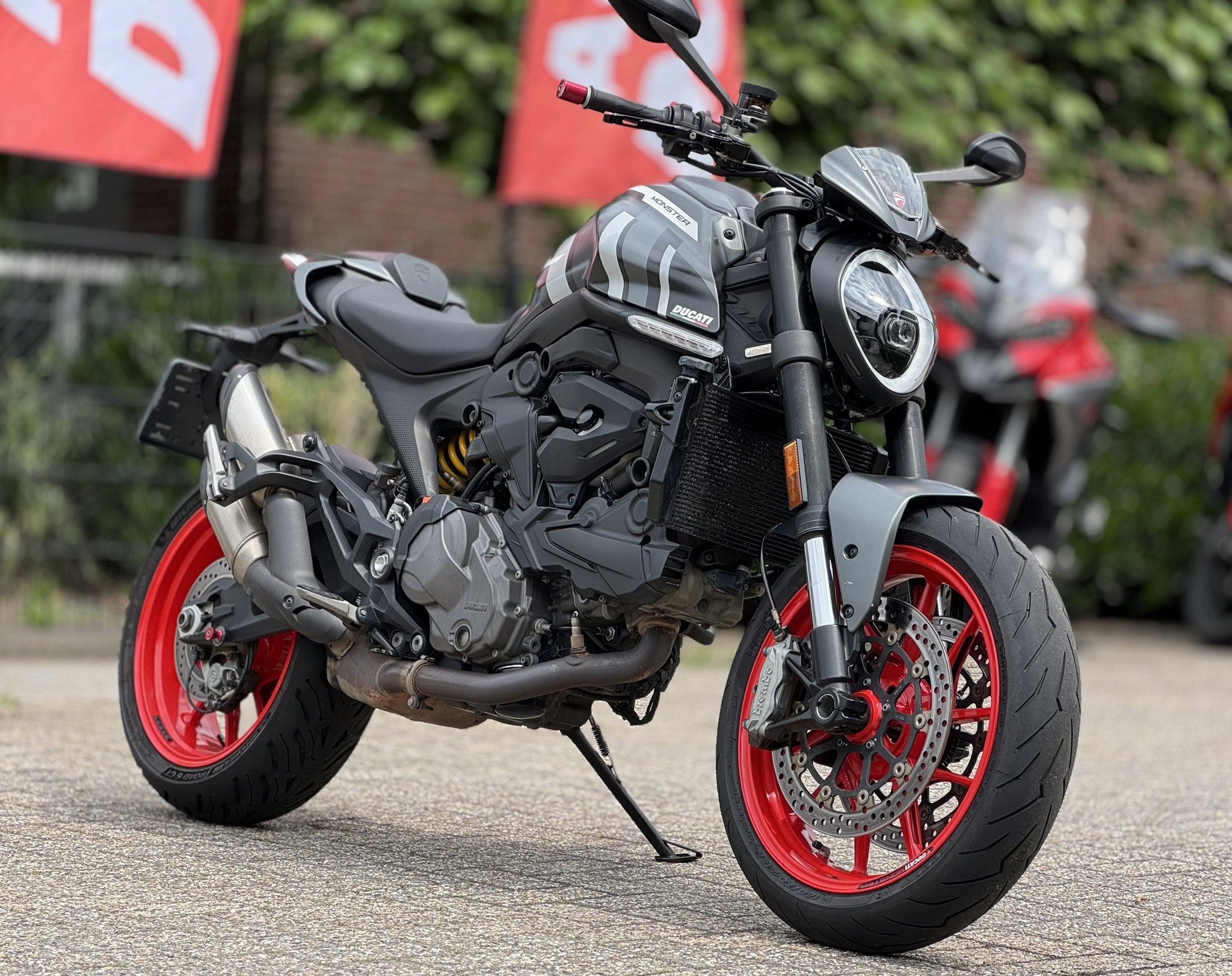 DUCATI Monster