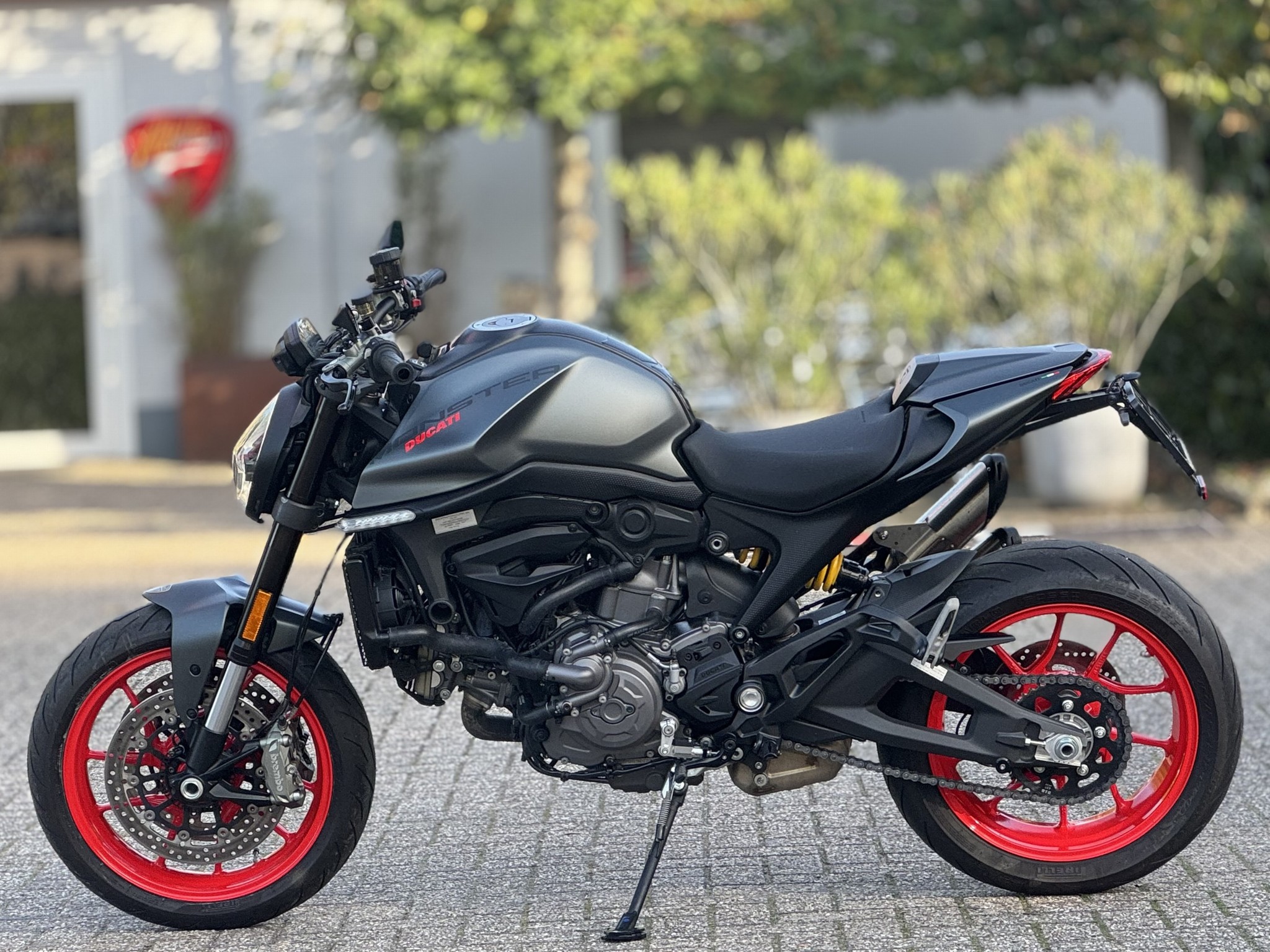 DUCATI Monster