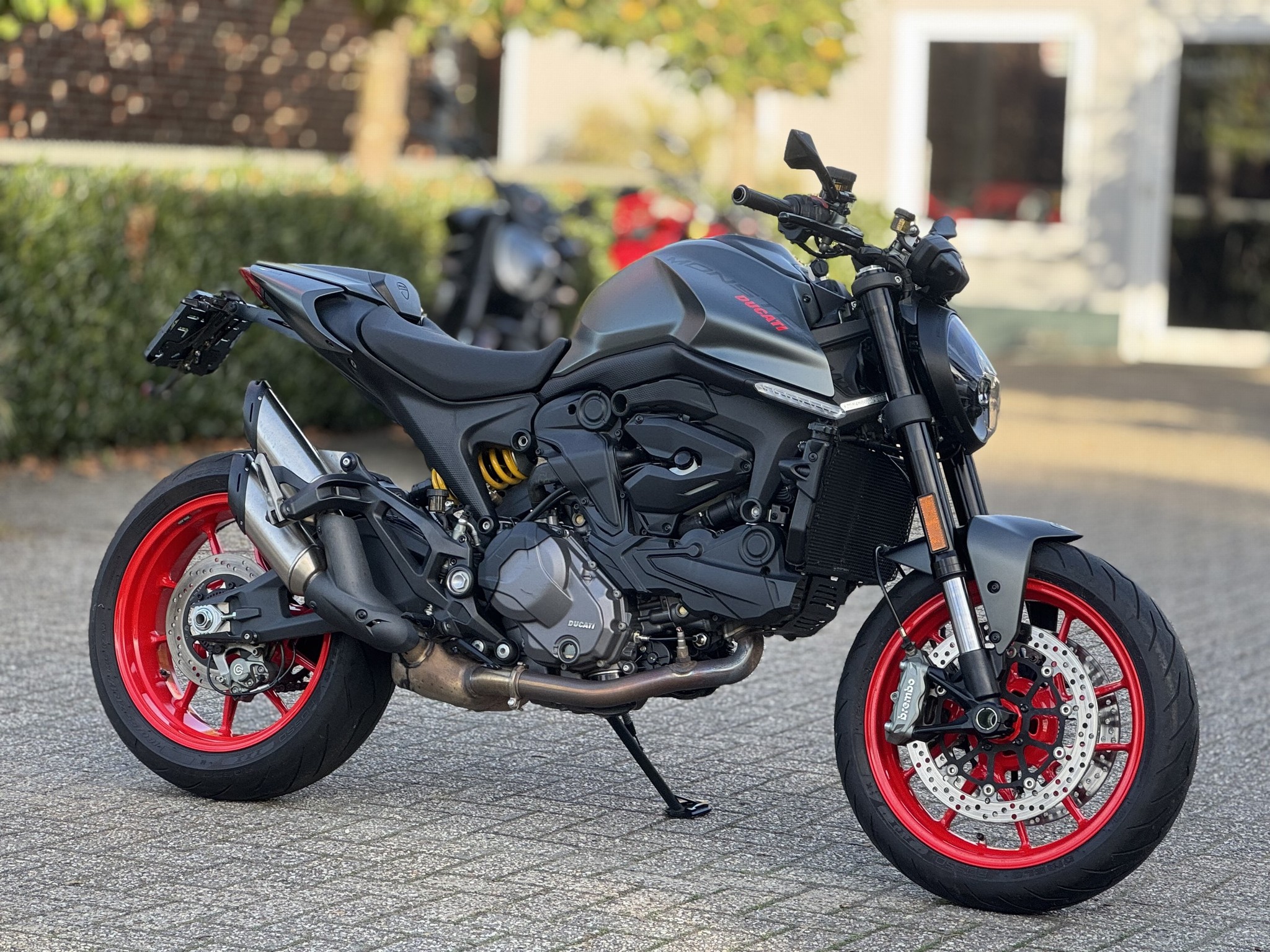 DUCATI Monster