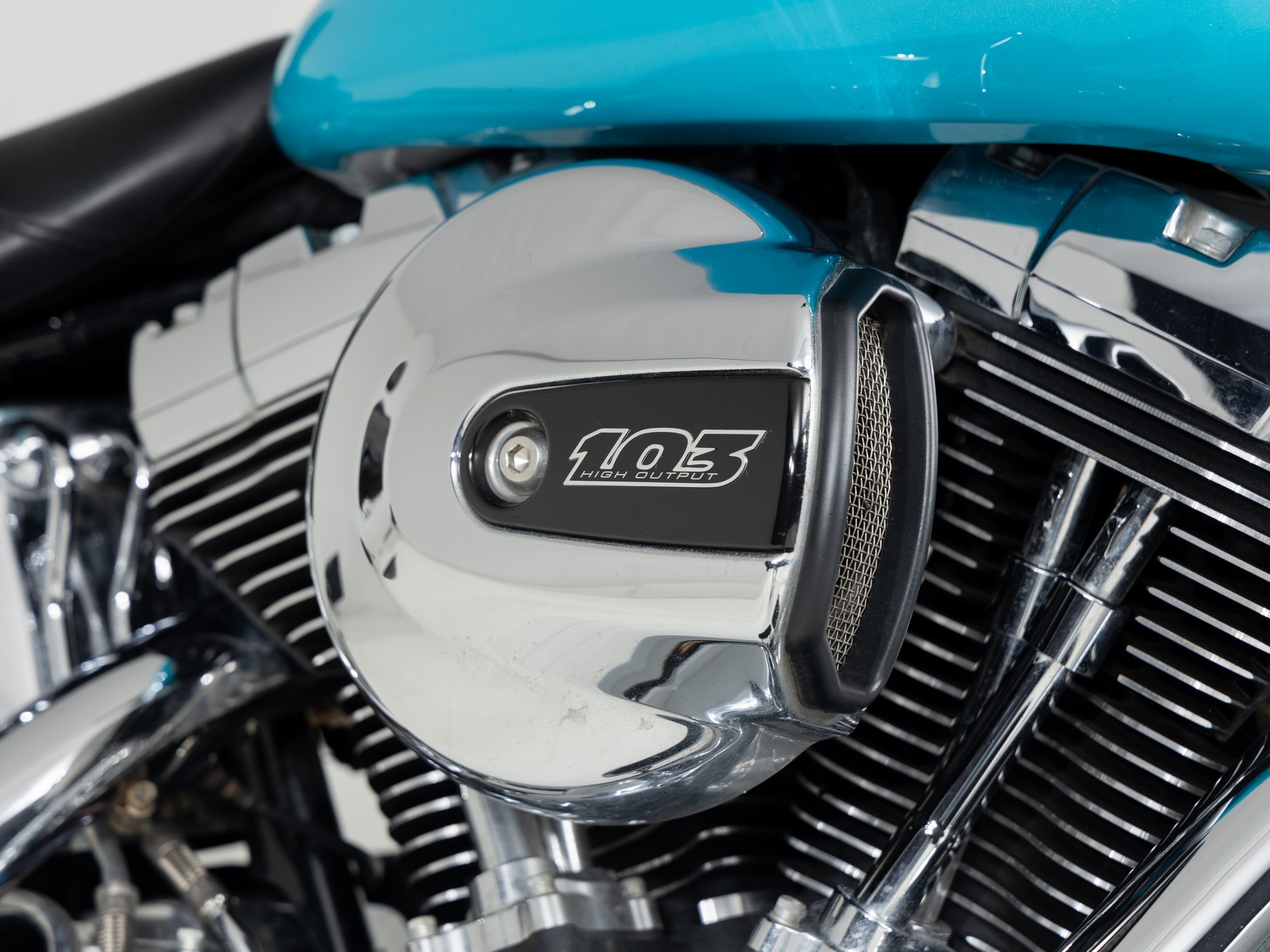 HARLEY-DAVIDSON FLSTN103 Two-Tone