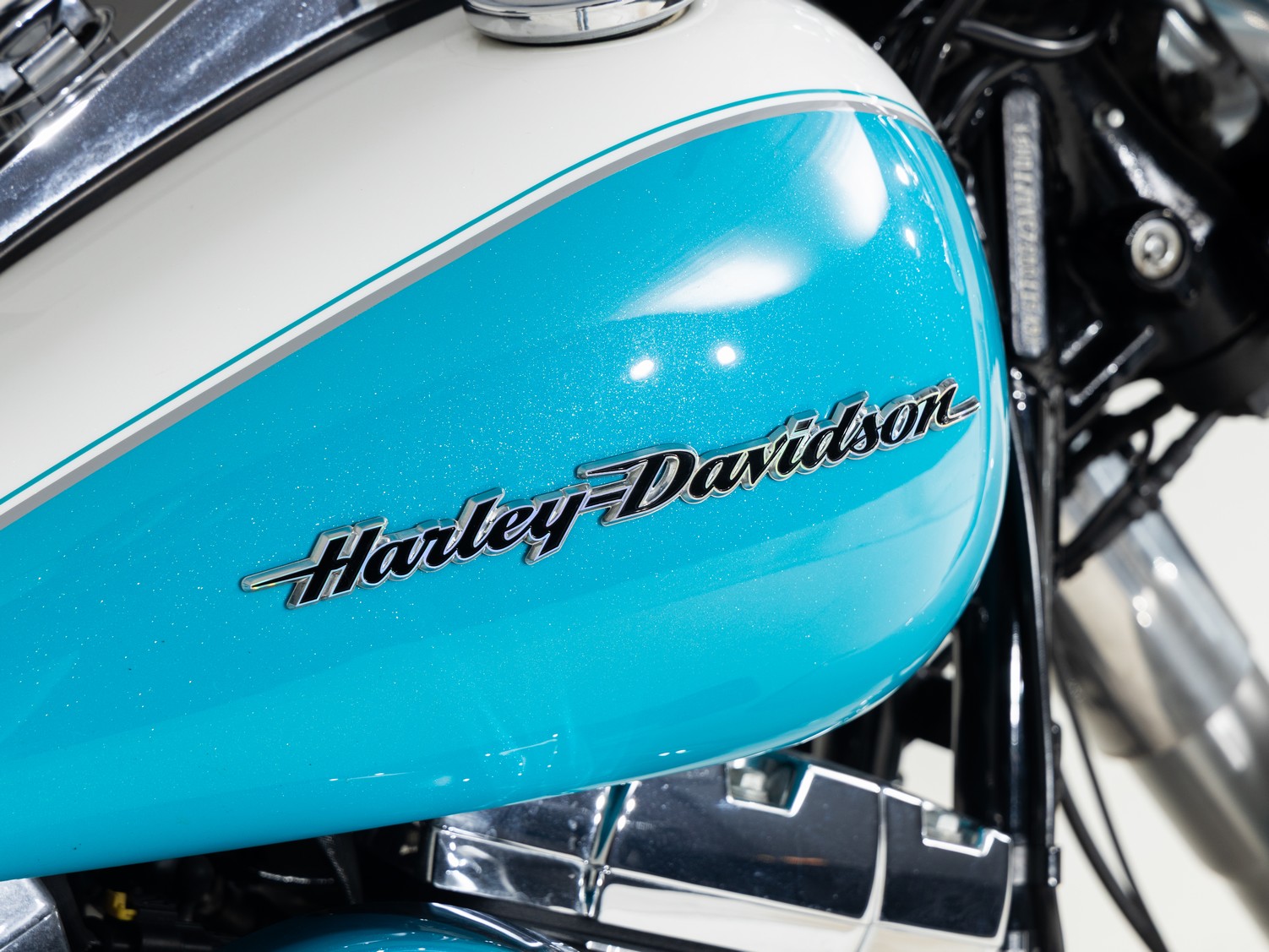 HARLEY-DAVIDSON FLSTN103 Two-Tone