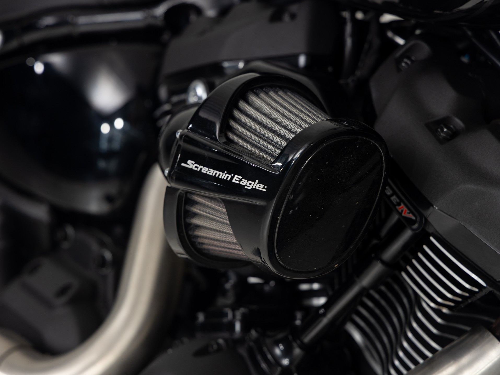 HARLEY-DAVIDSON FXBB SOFTAIL Street Bob