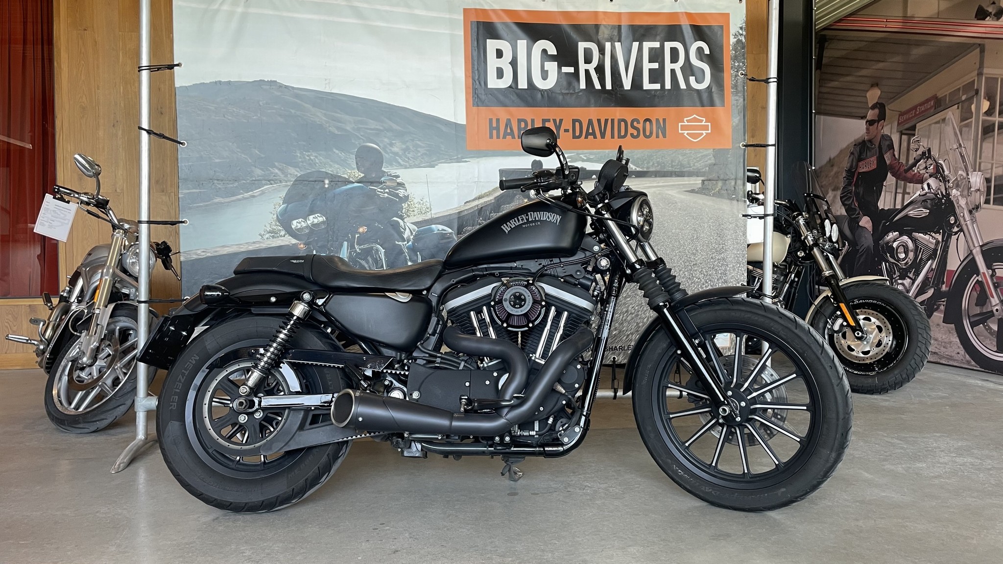 HARLEY-DAVIDSON 883 Iron