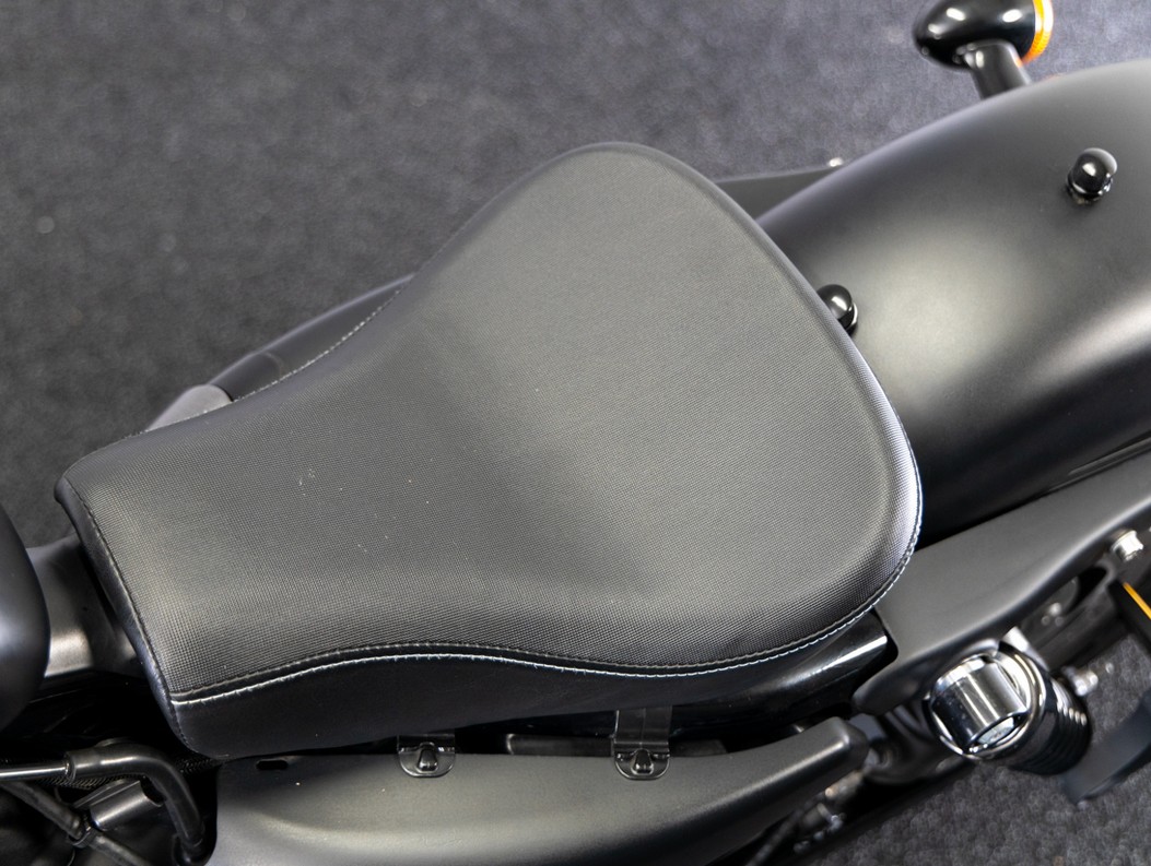 HARLEY-DAVIDSON XL 883N IRON