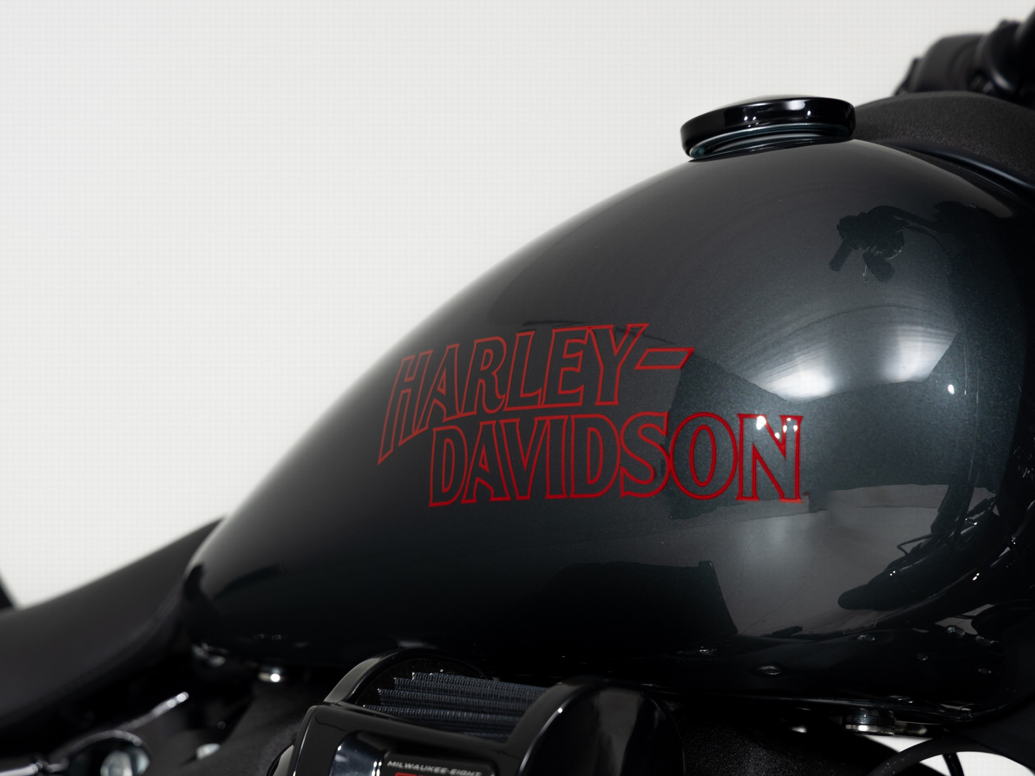 HARLEY-DAVIDSON FXLRS SOFTAIL Low Rider S