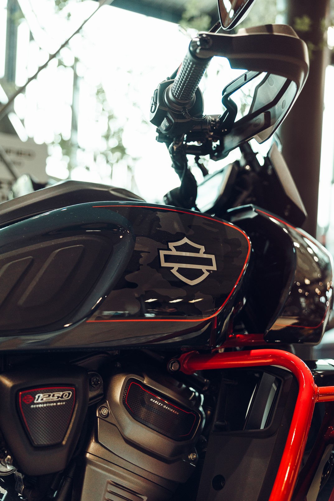 HARLEY-DAVIDSON RA1250SE Pan America CVO Solid