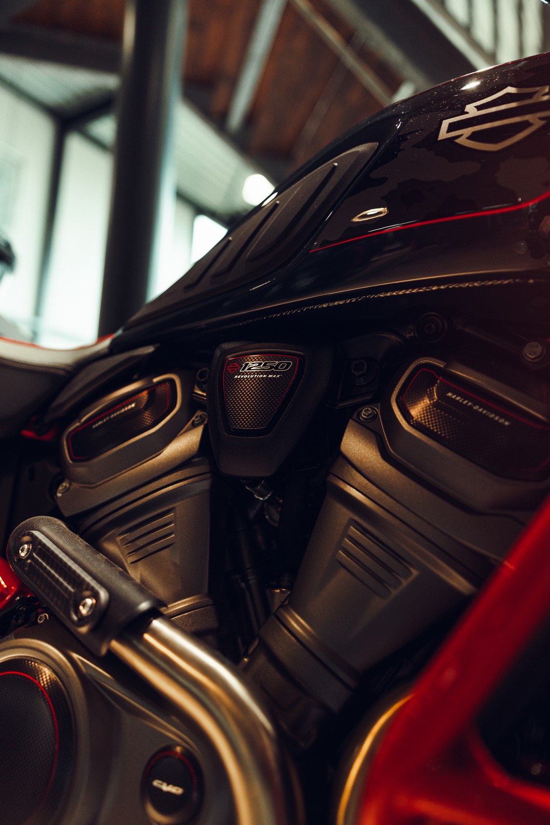 HARLEY-DAVIDSON RA1250SE Pan America CVO Solid