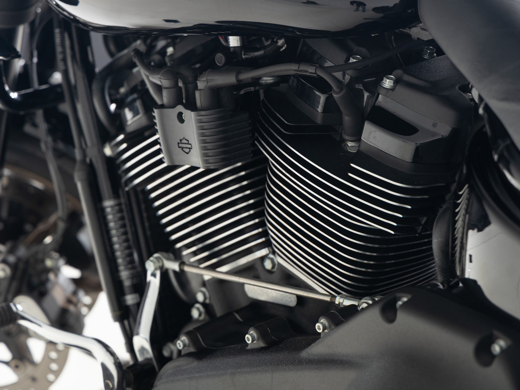 HARLEY-DAVIDSON Low Rider ST