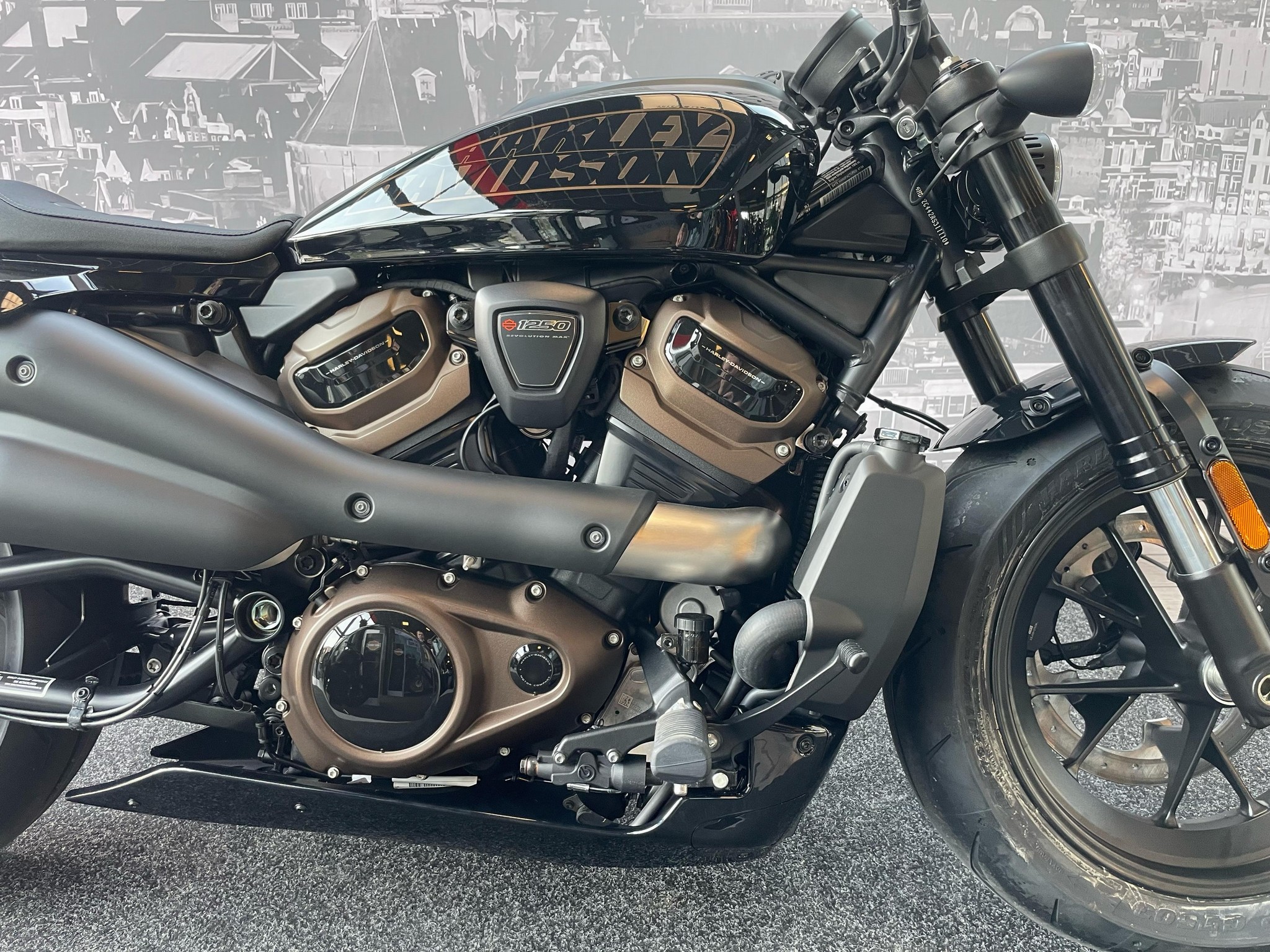 HARLEY-DAVIDSON - SPORTSTER S 1250