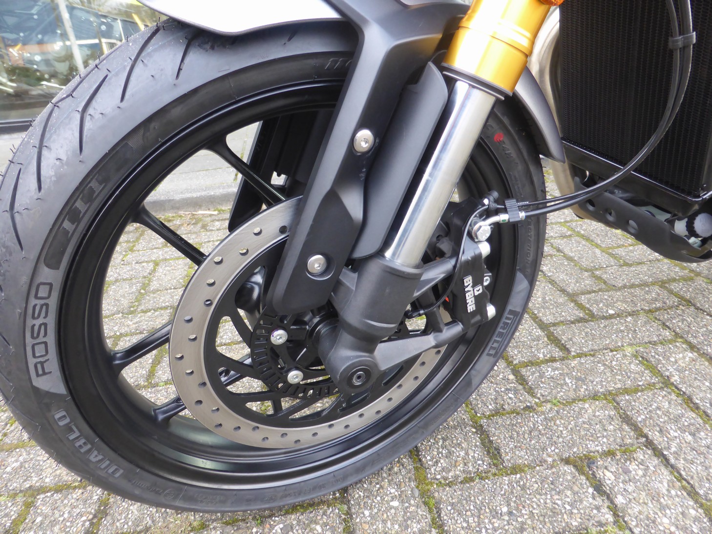 TRIUMPH - Speed 400 NEW Speed 400