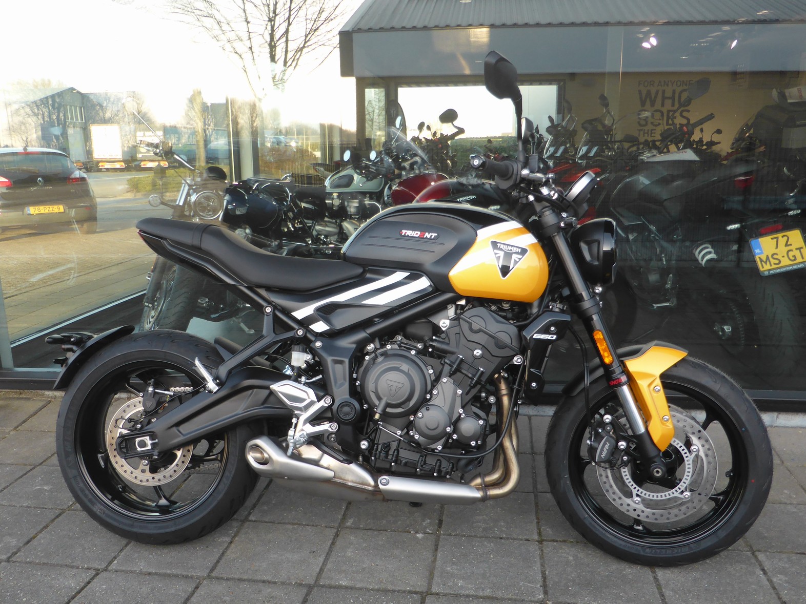 TRIUMPH - Trident 660 cruise control, sh