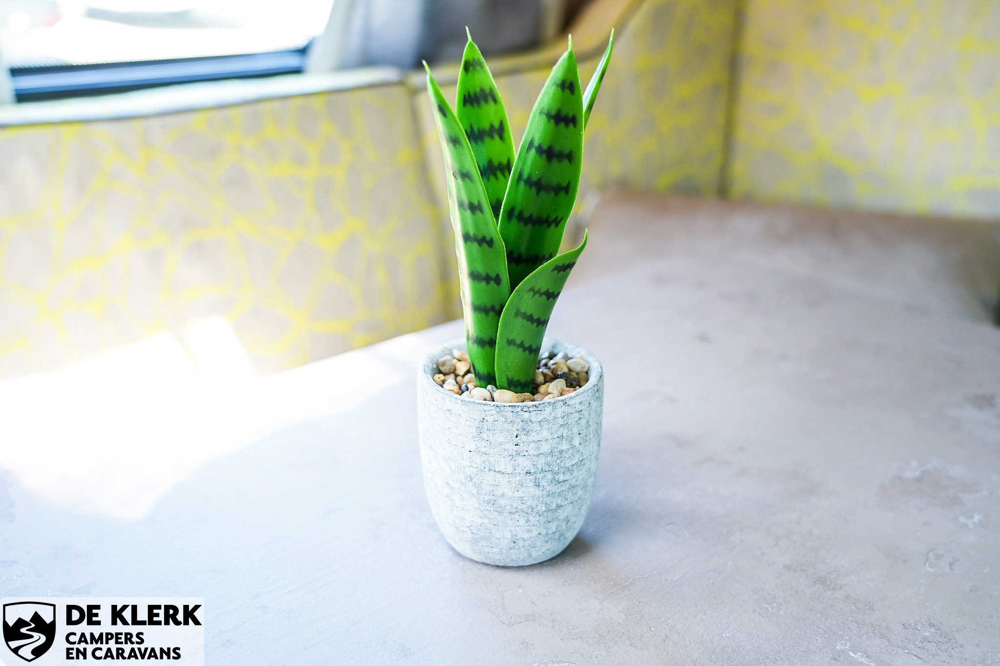 TAB 320 RS Metropolis Christmas Sp