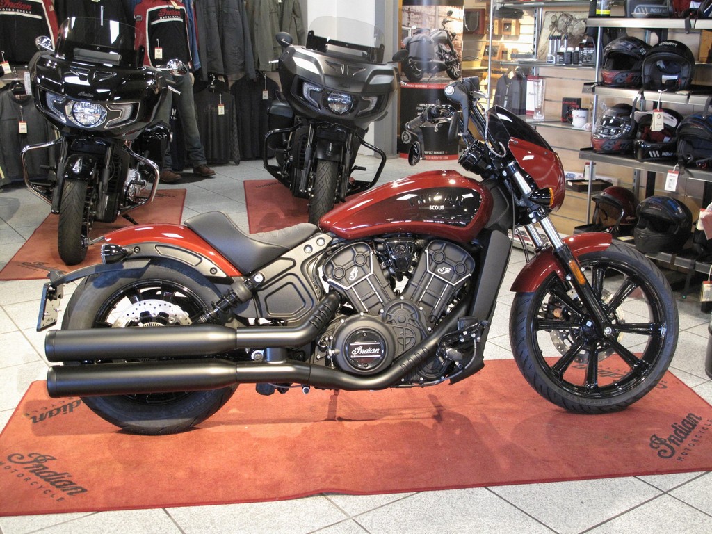 INDIAN Scout Rogue Official Indian Mo