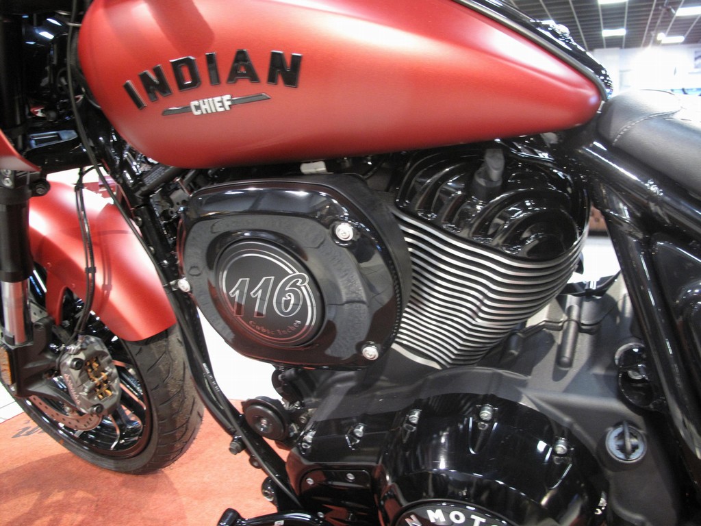 INDIAN - Sport Chief Official Indian Mo