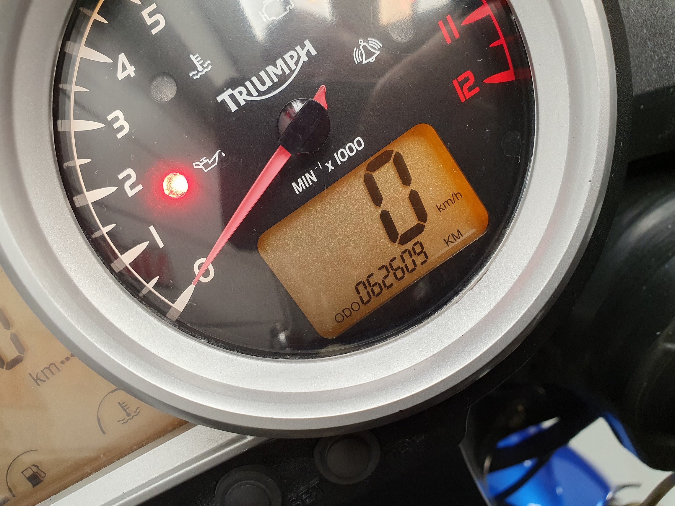 TRIUMPH - TIGER 1050 TRIUMPH TIGER 1050