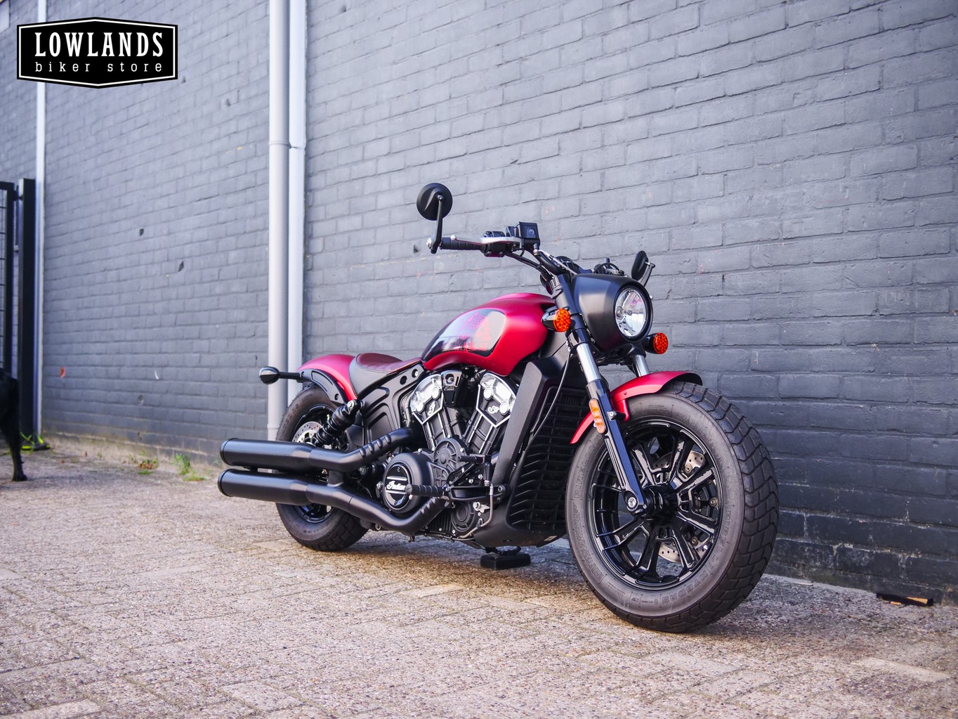 INDIAN - Scout Bobber
