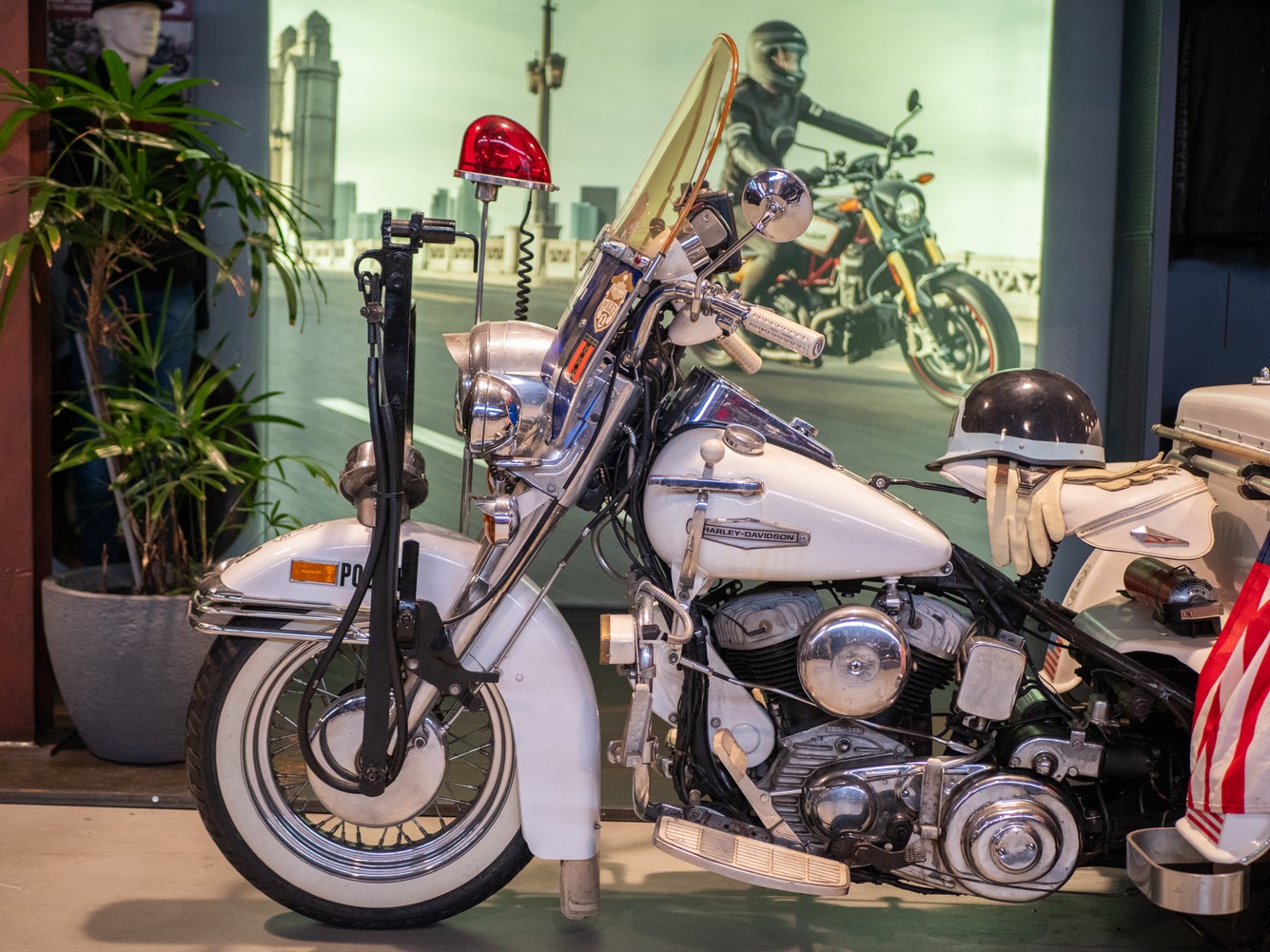 HARLEY-DAVIDSON - Servicar