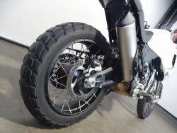 DUCATI - DESERT X