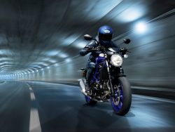 SUZUKI - SV 650