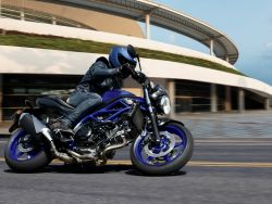SUZUKI - SV 650