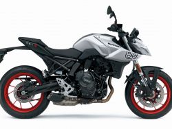 GSX-8S - SUZUKI