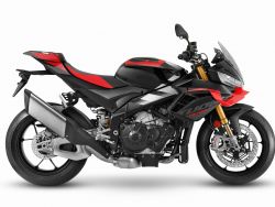 TUONO V4 1100 E FACTORY