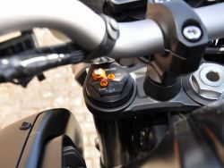 YAMAHA - MT 10