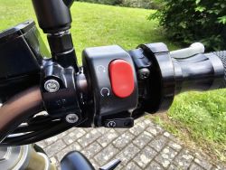 TRIUMPH - Streettriple 675