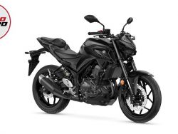 YAMAHA - MT-03