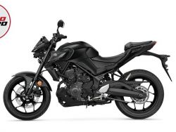 YAMAHA - MT-03