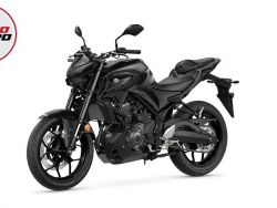 YAMAHA - MT-03