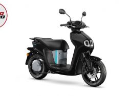 YAMAHA - NEO'S DUAL BATTERY