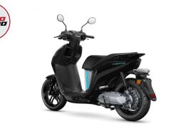 YAMAHA - NEO'S DUAL BATTERY
