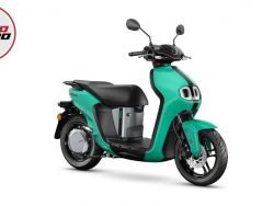 YAMAHA - NEO'S DUAL BATTERY