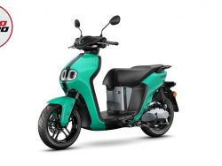 YAMAHA - NEO'S DUAL BATTERY