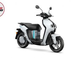 YAMAHA - NEO'S DUAL BATTERY