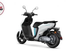 YAMAHA - NEO'S DUAL BATTERY
