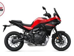 TRACER 7
