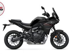 TRACER 7