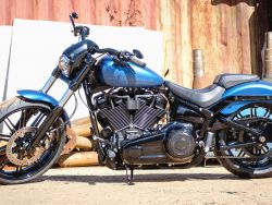 HARLEY-DAVIDSON - FXBRS Breakout 114 Breakout 20