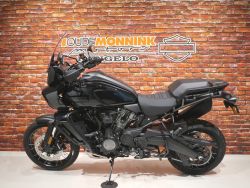 HARLEY-DAVIDSON - RA1250S Pan America special