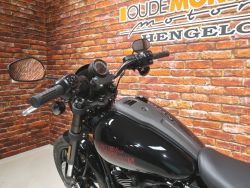 HARLEY-DAVIDSON - FXLRS Low Rider S 117