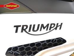 TRIUMPH - TIGER 1200 RALLY EXPLORER