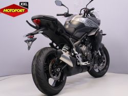 TRIUMPH - TIGER SPORT 800