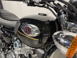 KAWASAKI - W 800 ABS